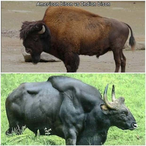 Interesting Pictures with Captions #156 (22 photos)