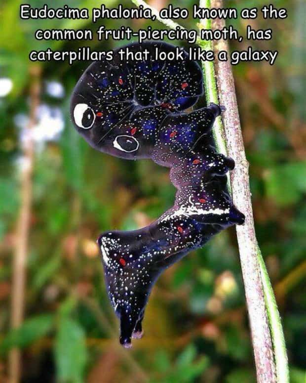 Interesting Pictures with Captions #155 (23 photos)