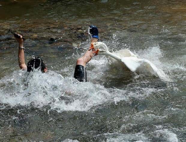 Shit Happens Regularly, Get Used To It #327 (21 photos)