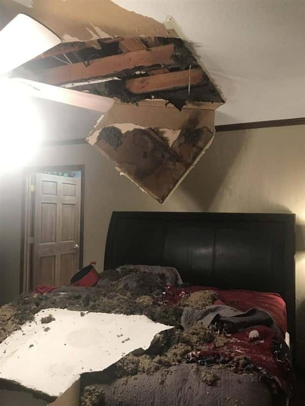 Shit Happens Regularly, Get Used To It #327 (21 photos)