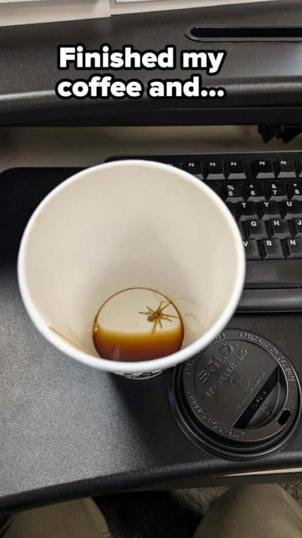 Shit Happens Regularly, Get Used To It #328 (26 photos)