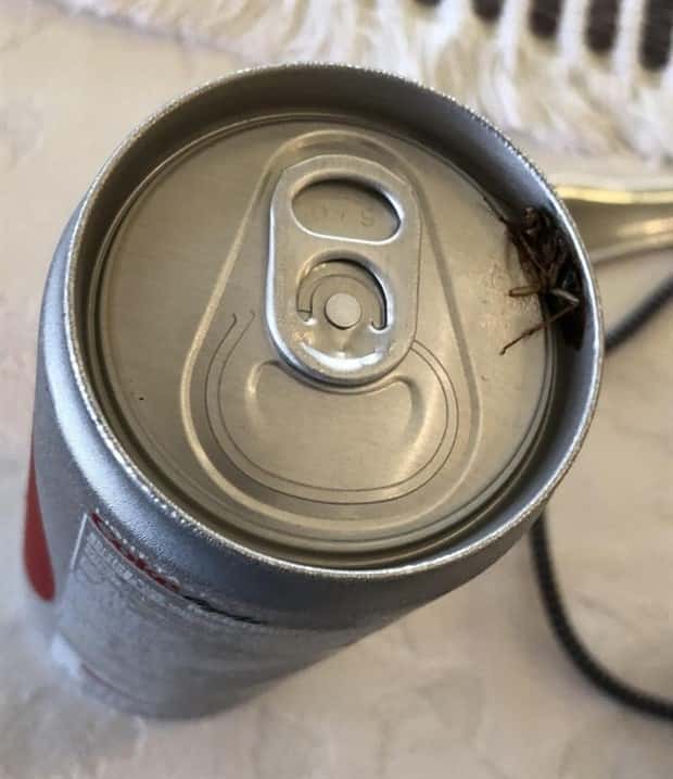 Shit Happens Regularly, Get Used To It #329 (20 photos)