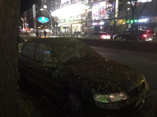 Shit Happens Regularly, Get Used To It #327 (21 photos)