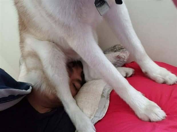 Shit Happens Regularly, Get Used To It #327 (21 photos)