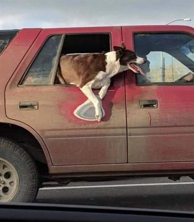 Time Left Its Mark on These (21 photos)