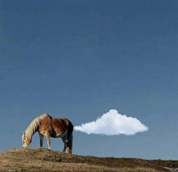 Welcome to the Weird Side of the Internet #196 (28 photos)