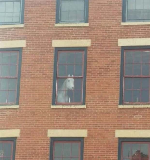 Welcome to the Weird Side of the Internet #196 (28 photos)