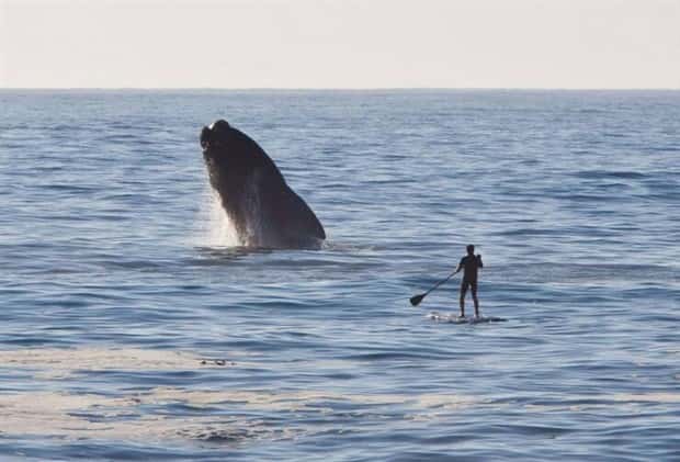 Awesome Pictures You Shouldn’t Miss #155 (24 photos)