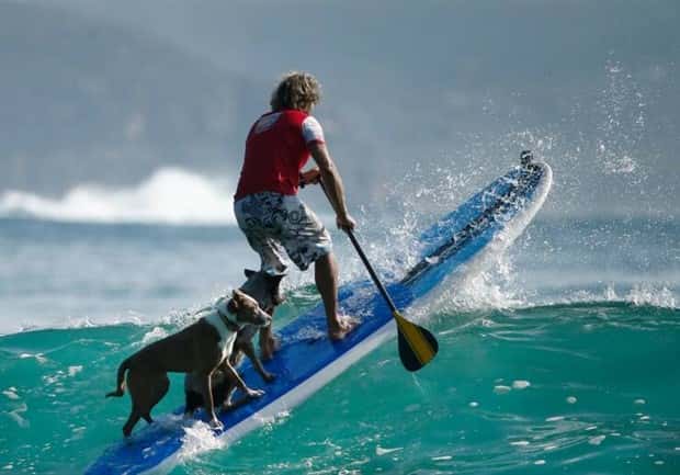 Awesome Pictures You Shouldn’t Miss #155 (24 photos)