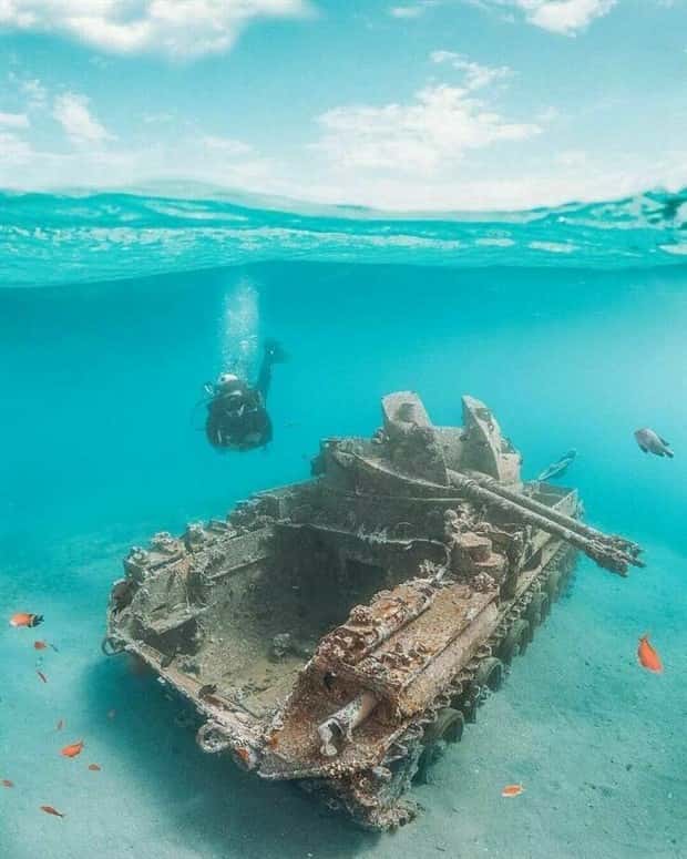 Awesome Pictures You Shouldn’t Miss #155 (24 photos)