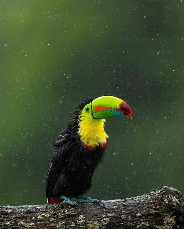 Awesome Pictures You Shouldn’t Miss #155 (24 photos)