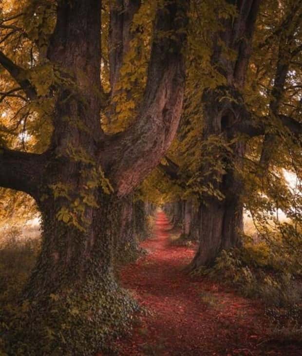 Awesome Pictures You Shouldn’t Miss #155 (24 photos)