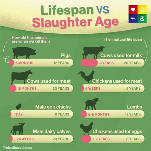 Charts and Maps with Intriguing Data #159 (18 photos)