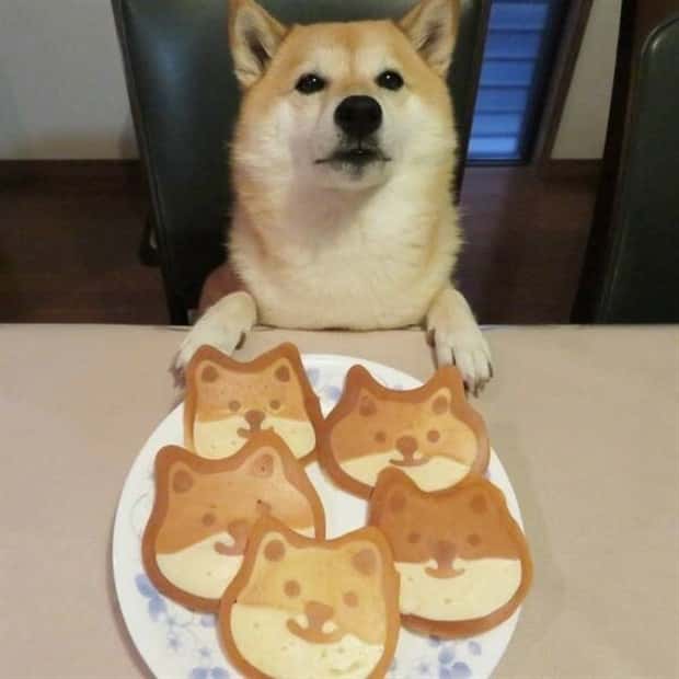 creative food 6 People Got Too Creative with Their Food (23 photos)