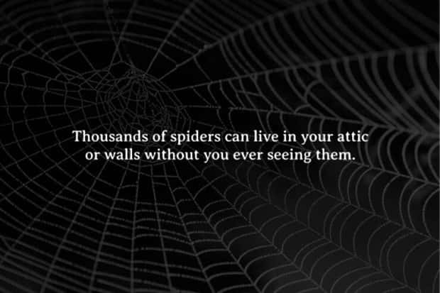 Creepy Facts are Back #13 (18 photos)