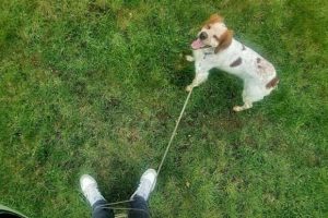 Get Ready for Funny Animals #390 (21 photos)