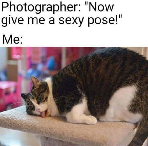 Funny Pics and Memes to Make You Laugh #161 (21 photos)