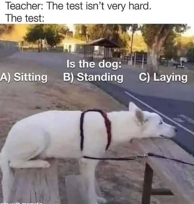 funny pics and memes 17 Funny Pics and Memes to Make You Laugh #158 (24 photos)