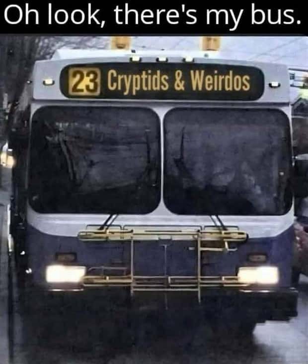 funny pics and memes 24 Funny Pics and Memes to Make You Laugh #158 (24 photos)