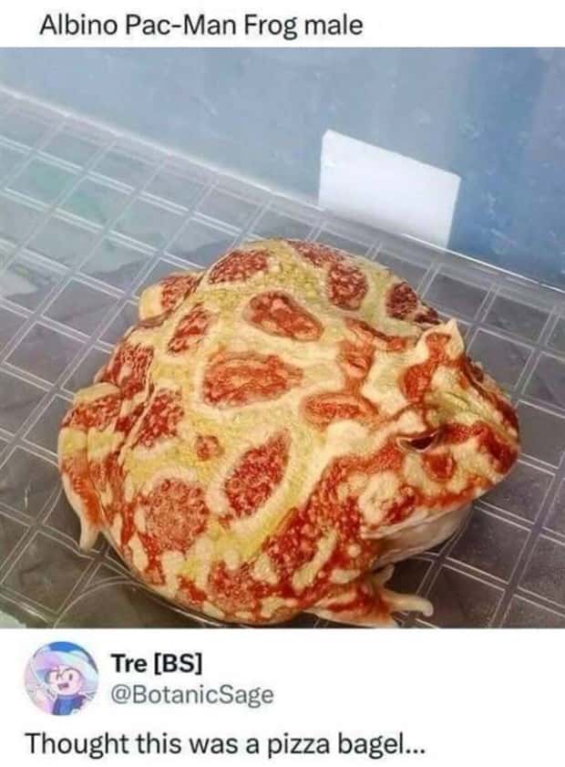 funny pics and memes 7 Funny Pics and Memes to Make You Laugh #158 (24 photos)