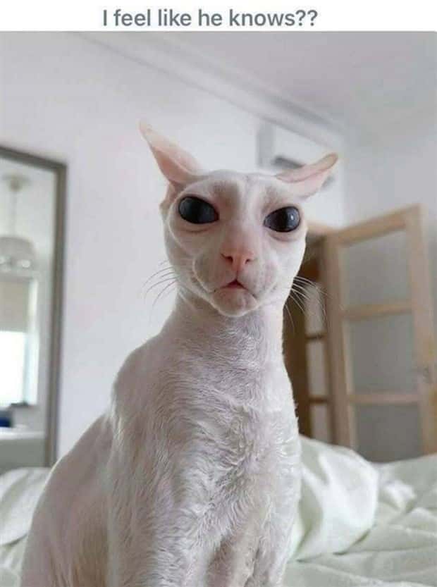 funny pics and memes 8 Funny Pics and Memes to Make You Laugh #158 (24 photos)