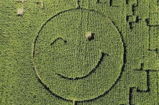 impressive things 27 Impressive Things Creative People Have Done (28 photos)