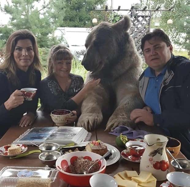 Klyker Picdump #1741 (41 photos)