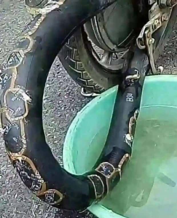 Klyker Picdump #1737 (42 photos)