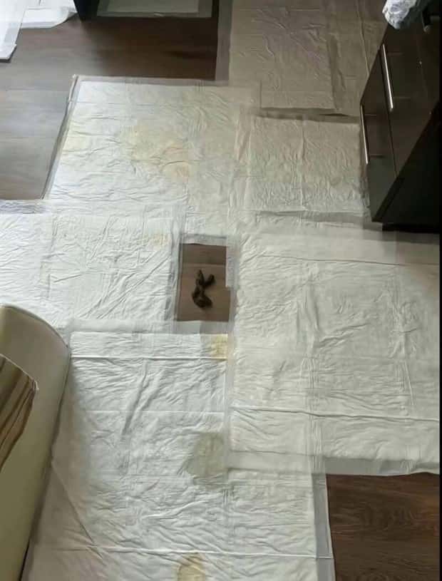 Klyker Picdump #1737 (42 photos)