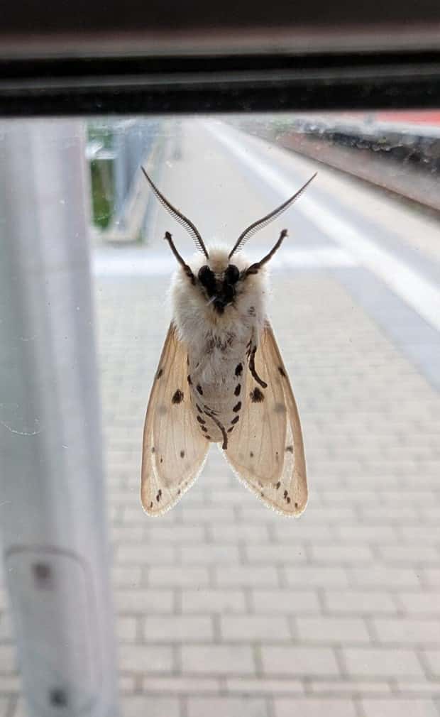 Klyker Picdump #1737 (42 photos)