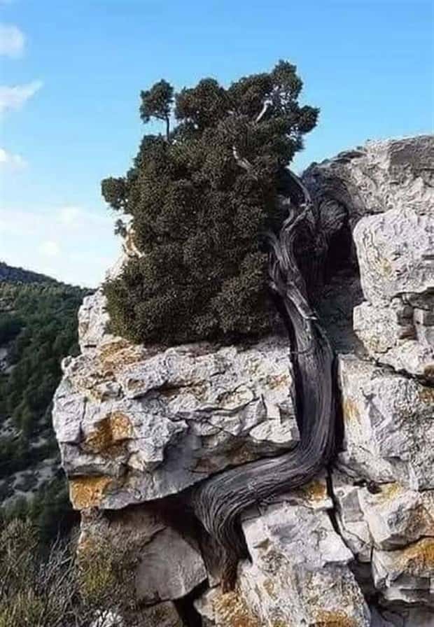 Klyker Picdump #1737 (42 photos)