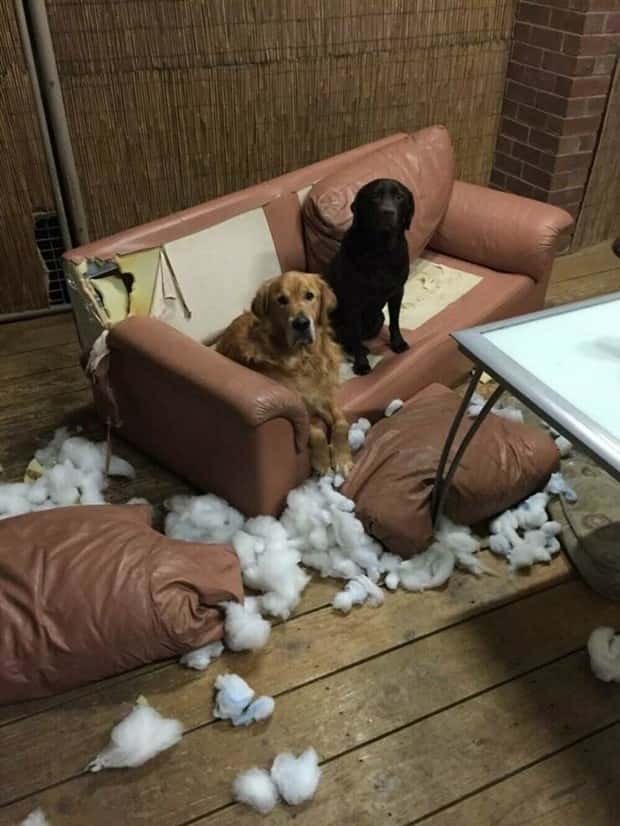 Klyker Picdump #1737 (42 photos)