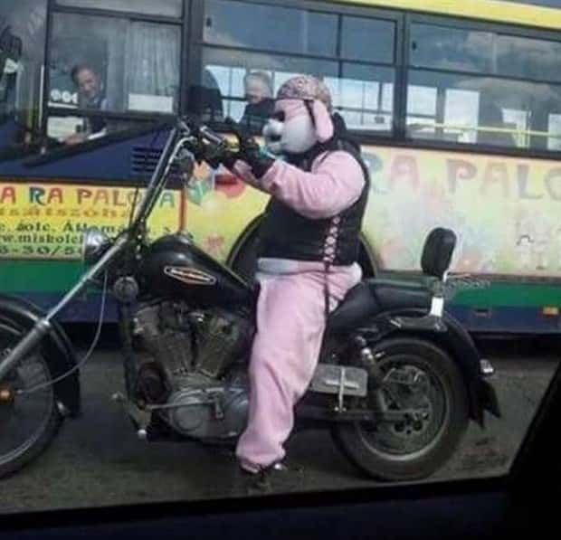 Klyker Picdump #1737 (42 photos)