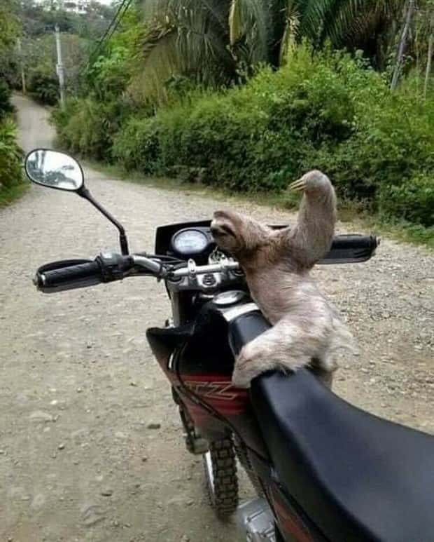 Klyker Picdump #1738 (43 photos)