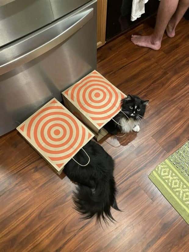 Klyker Picdump #1738 (43 photos)