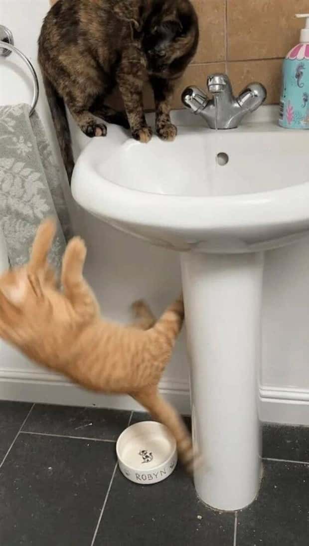 Klyker Picdump #1738 (43 photos)