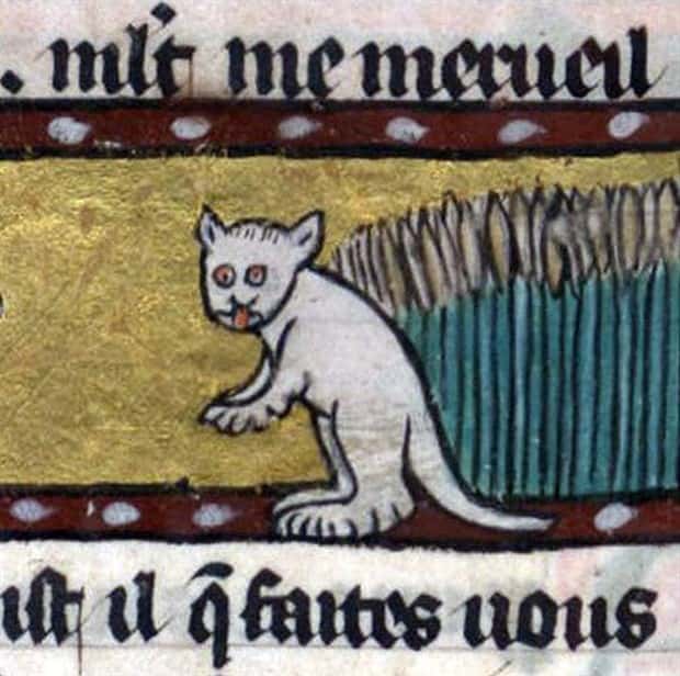 medieval cats 11 Medieval Artists Seemed Unfamiliar with Cats (20 photos)