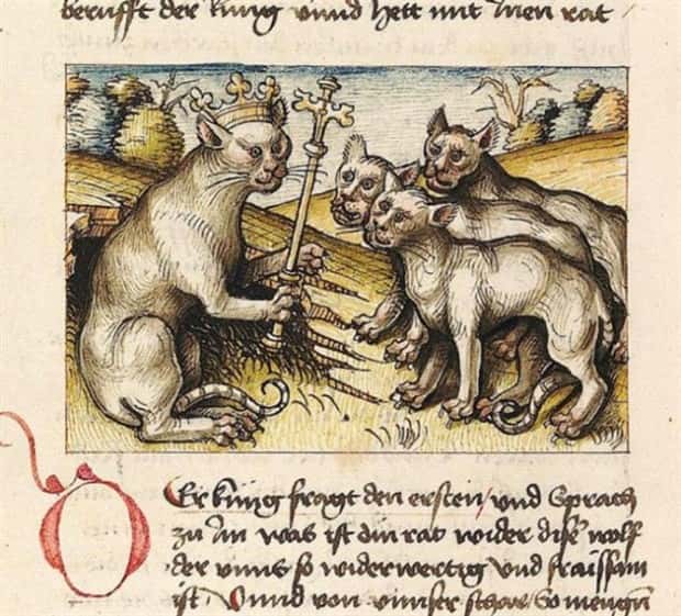 medieval cats 12 Medieval Artists Seemed Unfamiliar with Cats (20 photos)