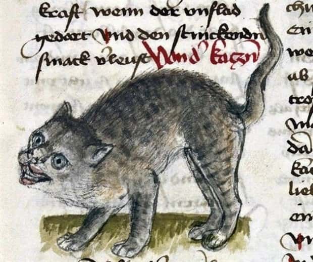 medieval cats 14 Medieval Artists Seemed Unfamiliar with Cats (20 photos)