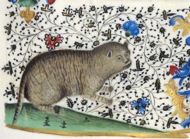 medieval cats 18 Medieval Artists Seemed Unfamiliar with Cats (20 photos)