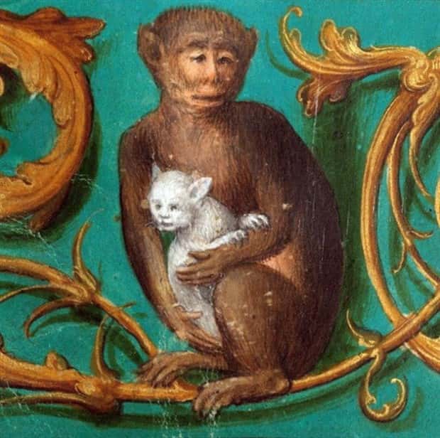 medieval cats 19 Medieval Artists Seemed Unfamiliar with Cats (20 photos)