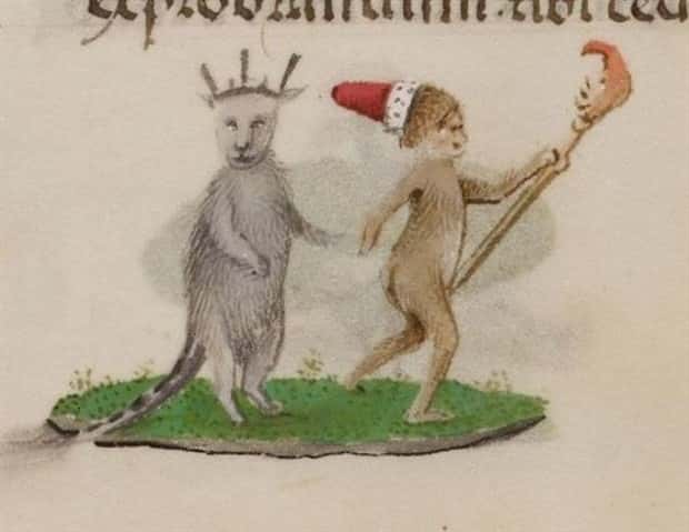 medieval cats 4 Medieval Artists Seemed Unfamiliar with Cats (20 photos)