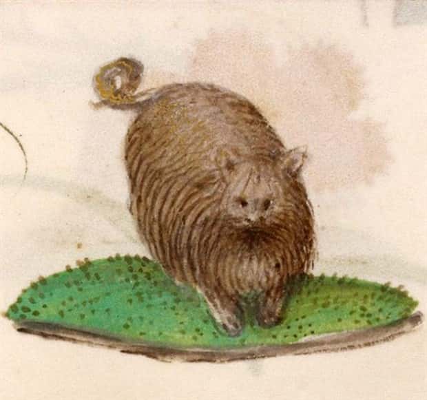 medieval cats 5 Medieval Artists Seemed Unfamiliar with Cats (20 photos)