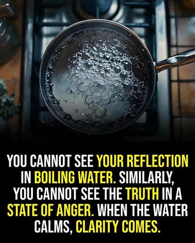 motivational quotes 22 Motivational Quotes, Because It’s Monday #157 (22 photos)