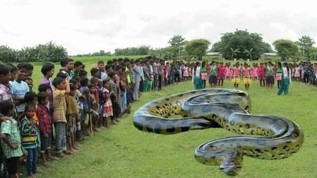 photoshop fails 21 Photoshop Fails That Are Pure Comedy (36 photos)