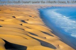 Interesting Pictures with Captions #159 (25 photos)