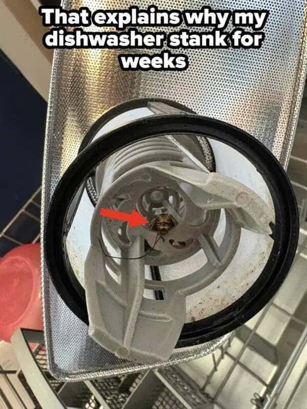 Shit Happens Regularly, Get Used To It #332 (23 photos)