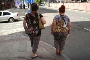 Utterly Strange Fashion #17 (22 photos)
