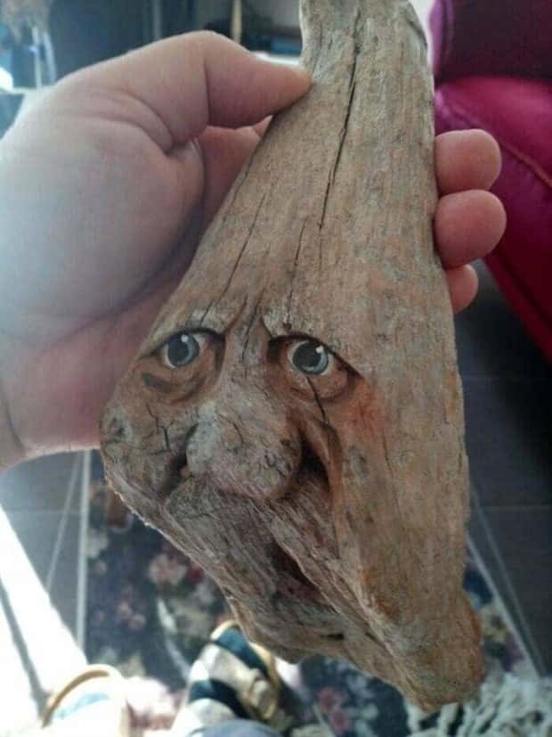 strange thrift store things 15 Strange Things Found in Thrift Stores #28 (20 photos)