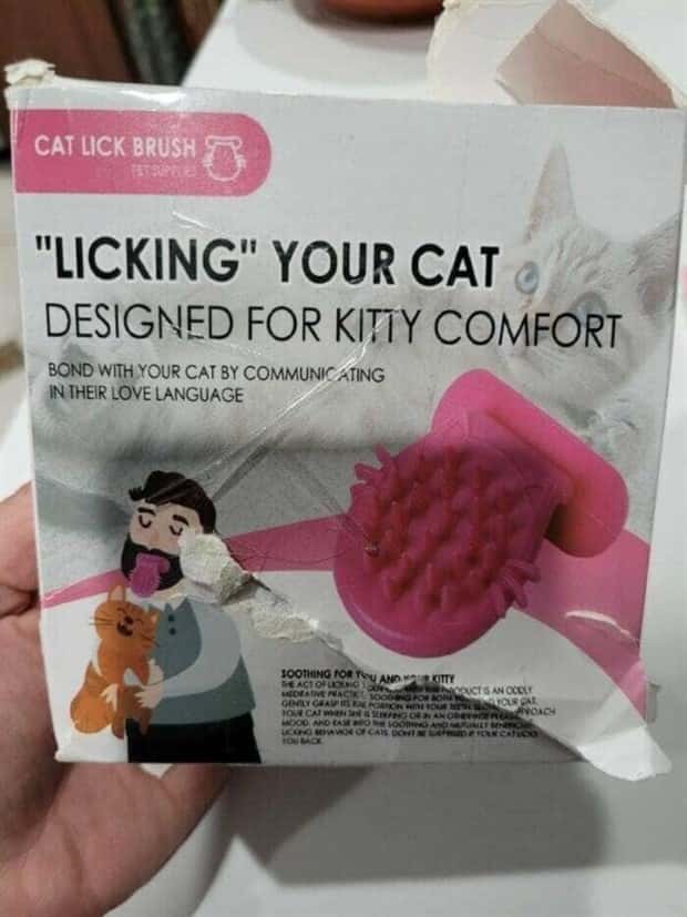 strange thrift store things 5 Strange Things Found in Thrift Stores #28 (20 photos)